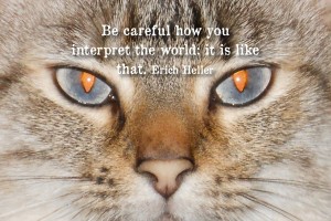 Be careful how you interpret the world. It is like that.